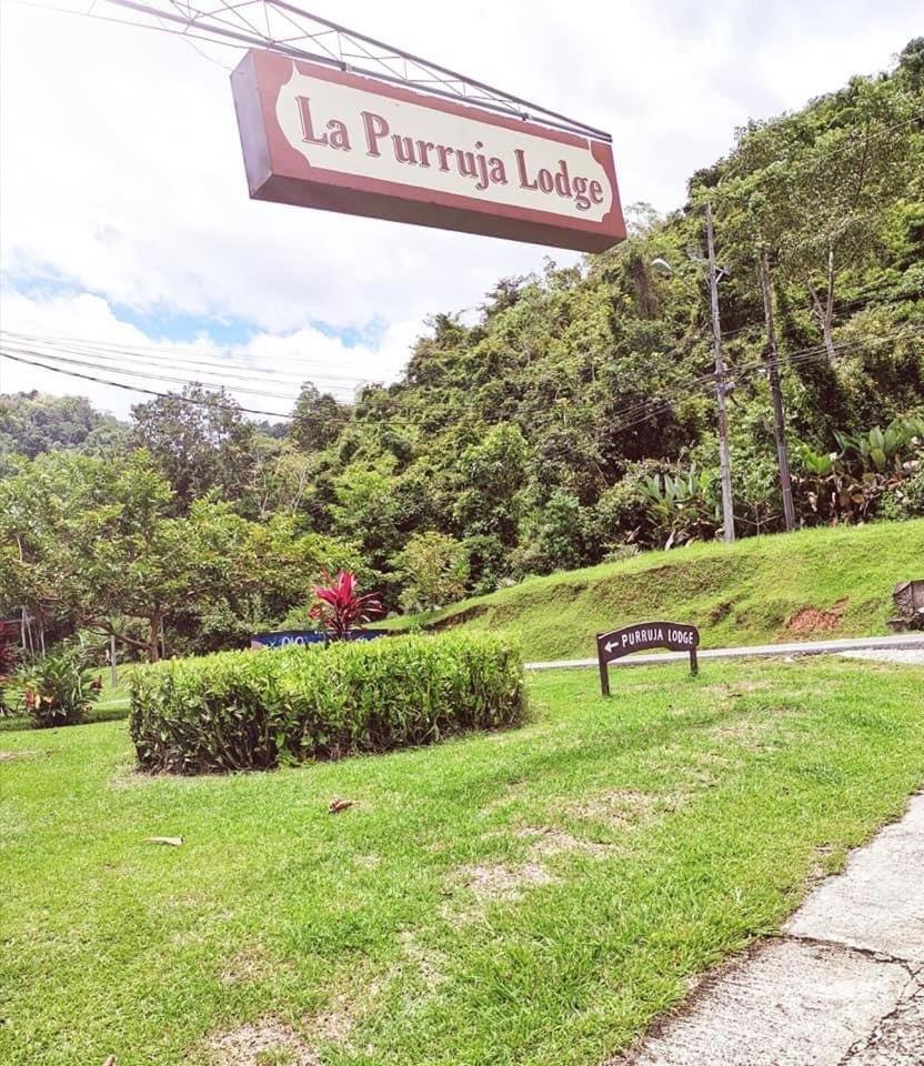 La Purruja Lodge غولفيتو المظهر الخارجي الصورة