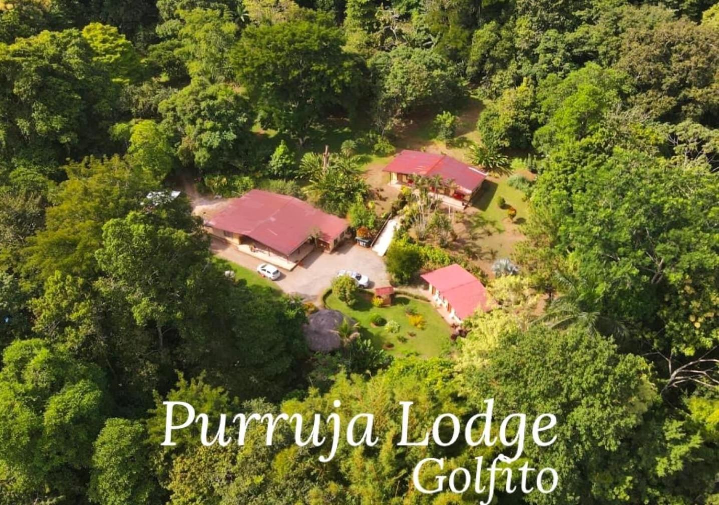 La Purruja Lodge غولفيتو المظهر الخارجي الصورة
