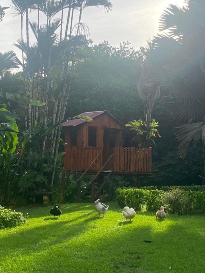La Purruja Lodge غولفيتو المظهر الخارجي الصورة
